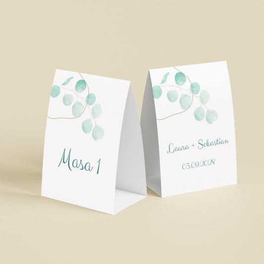 Număr masă - Eucalyptus