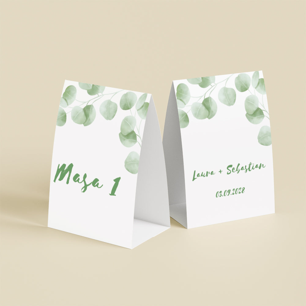 Număr masă - Eucalyptus 2