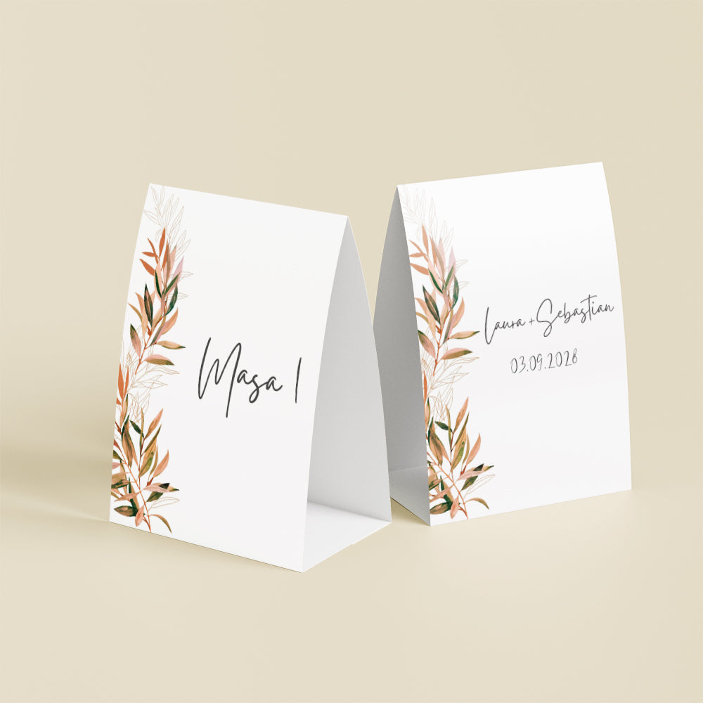 Număr masă - Tundra