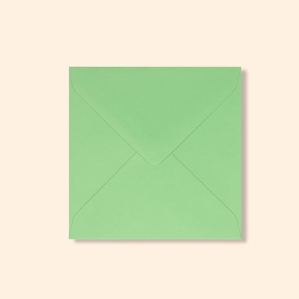 Plic pătrat - Pale Green